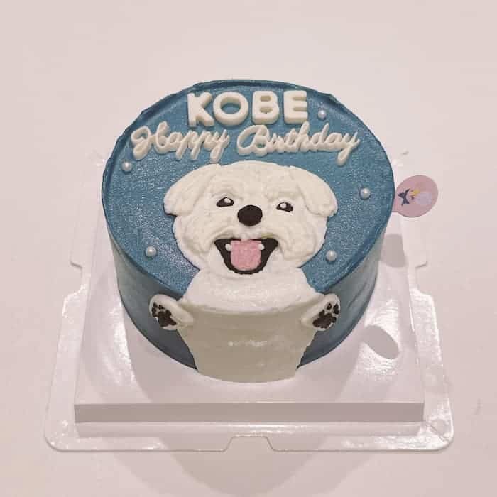 เควิน ดีรมรัมย์ avatar