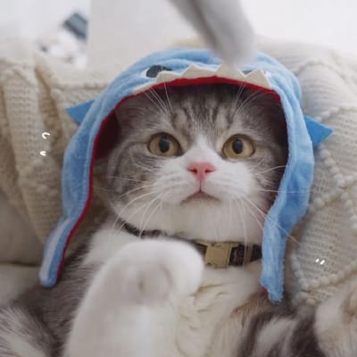 ปาน ธนพร avatar