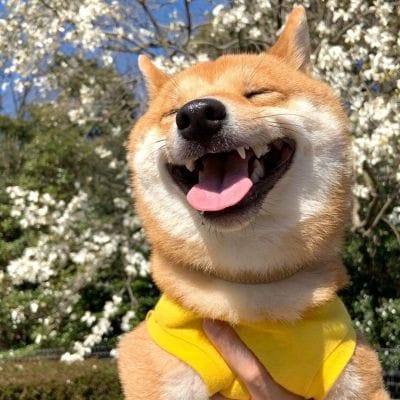 นนท์ ธนนท์ avatar